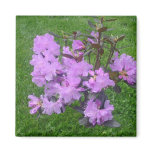 Purple Rhododendron Magnet