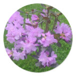 Purple Rhododendron Stickers