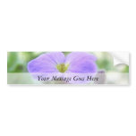Purple Rock Cress Flower Bumper Sticker