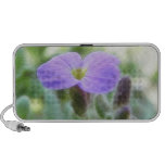 Purple Rock Cress Flower Speakers
