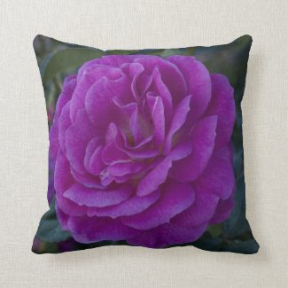 Purple Rose 12" X 12" Pillow