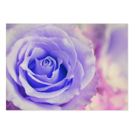 Purple Rose Background Customized Template Business Cards (front side)