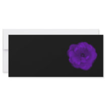 Purple Rose. Black Background. Customized Rack Card