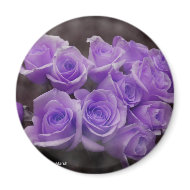 Purple rose bouquet magnet