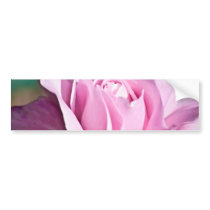 Purple Rose Bumper Sticker