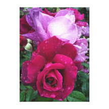 Purple Rose Canvas Canvas Print