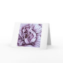 Purple Rose cards by cnag4892 Purple Rose cards