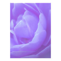 purple rose flower personalized announcements