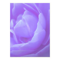 purple rose flower personalized announcements