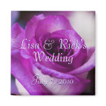 Purple Rose Purple Rose