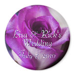 Purple Rose Purple Rose