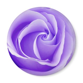 Purple Rose Magnet magnet