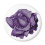 purple rose - magnet