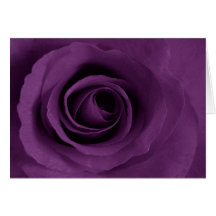 Purple Rose of Artsy Greeting Cards