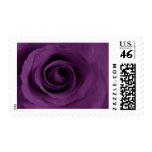 Purple Rose of Artsy Postage