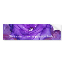 Purple Rose Passion Bumper Sticker