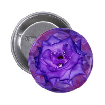 Purple Rose Passion Buttons