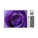 Purple Rose postage stamps by photoinspiration Purple Rose postage stamps