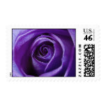 Purple Rose postage stamps