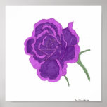 Purple Rose Poster