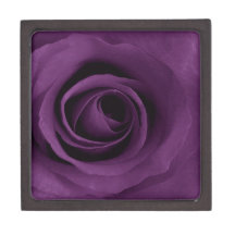 Purple Rose Premium Jewelry Box