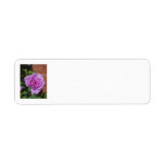 Purple Rose Return Address Label