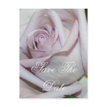 Purple Rose Save The Date Post Card Templates postcards
