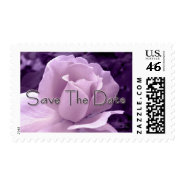 Purple Rose Save the Date stamp