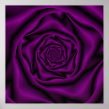 Purple Rose Spiral Poster