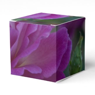 Purple Rose Square Gift Box