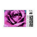 Purple Rose Watercolor postage by DoodleBugTees Purple Rose Watercolor postage