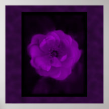 Purple Rose. With Black and Dark Purple. Poster