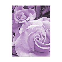 Purple Rose - Wrapped Canvas Canvas Prints