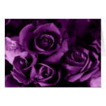 Purple Roses-Valentine's Day Greeting Card