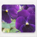 Purple Royalty Mouse Pads