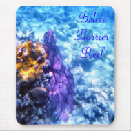 Purple Sea Fan Mousepad mousepad