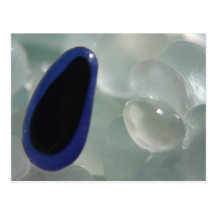 Purple Sea Glass Postcard