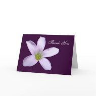 Purple Shamrock ~ card card