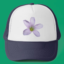 Purple Shamrock ~ hat hats