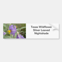 Purple silver-leaved nightshade flowers bumper sticker