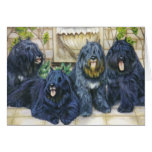 "Purple, Siren, Patou and Earl" Greeting Cards