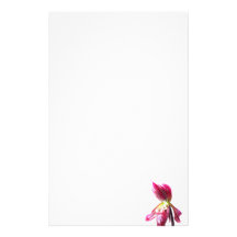 Purple slipper orchid flower against white back stationery design
