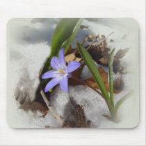 Purple snowflower mousepads