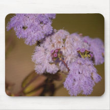 Purple Spiky Flower; No Text Mousepads