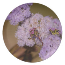 Purple Spiky Flower; No Text Plates
