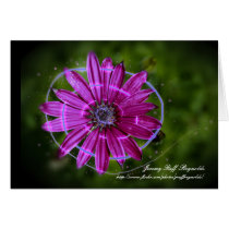 Purple Spiral Flower Card cards