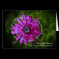 Purple Spiral Flower Card by Rajee1 Purple Spiral Flower Card