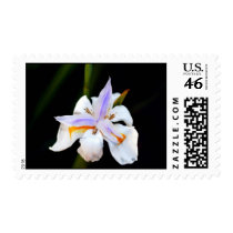 Purple Splash postage by tashatv28 Purple Splash postage