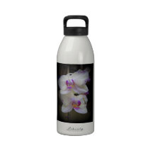 Purple Splash Water Bottles