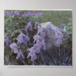 Purple Splendor Print